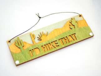 desert text sign which reads "I's hike that," in green, skewed right